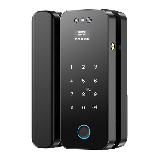 Fingerprint Biometric Digital Password Face Recognition Lock Fully Automatic Frameless Glass Door Smart Lock Tuya Wifi App Smart Lock